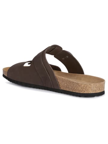 Geox Leder-Pantoletten "Ghita" in Braun