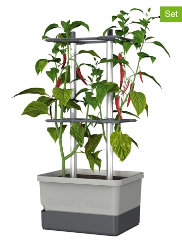 Gusta Garden 2-delige set: chiliplantpotten "Charly Chili" grijs - (B)68,7 x (H)34,5 cm