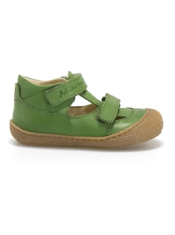 Naturino Leder-Halbsandalen "Puffy" in Grün