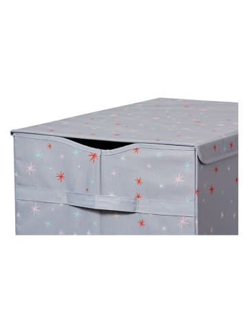 STORE IT Ordnungsbox in Grau - (B)62 x (H)39 x (T)37,5 cm