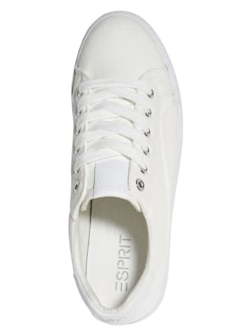 ESPRIT Sneakers in Weiß