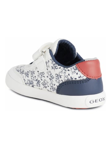 Geox Sneakers "Gisli" wit/donkerblauw