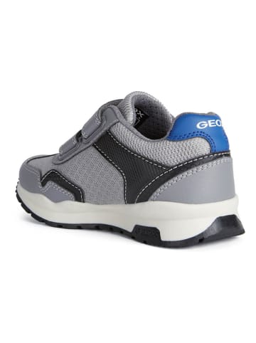Geox Sneakers "Pavel" in Grau/ Blau