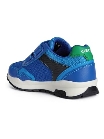 Geox Sneakers "Pavel" in Blau
