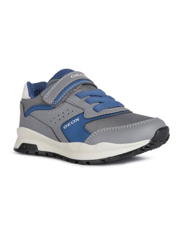 Geox Sneakers "Pavel" in Grau/ Blau