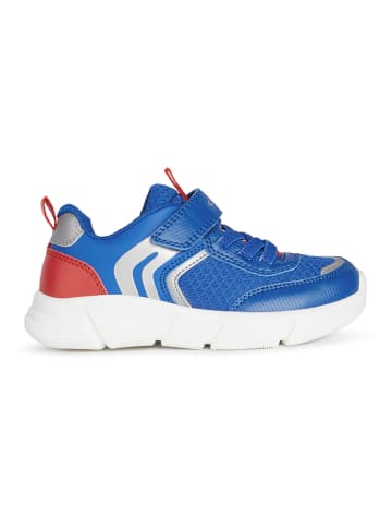 Geox Sneakers "Aril" in Blau/ Rot