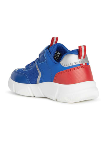 Geox Sneakers "Aril" blauw/rood