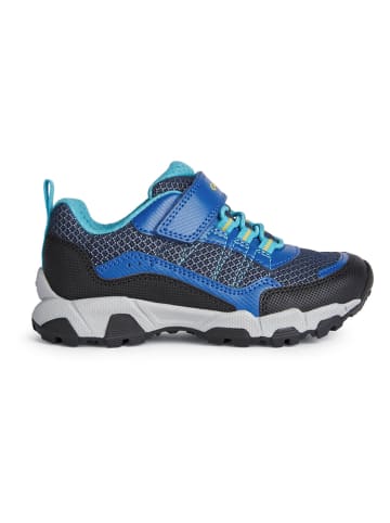 Geox Sneakers "Magnetar" in Dunkelblau/ Blau