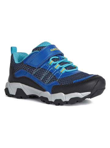 Geox Sneakers "Magnetar" in Dunkelblau/ Blau