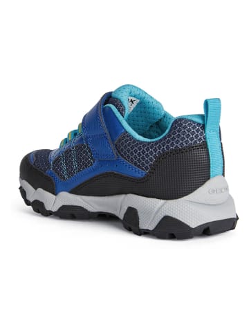 Geox Sneakers "Magnetar" in Dunkelblau/ Blau