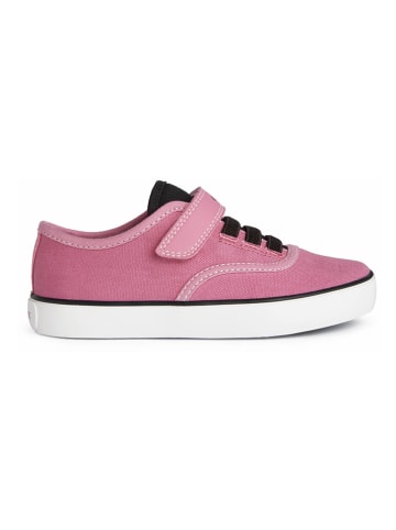 Geox Sneakers "Gisli" in Pink