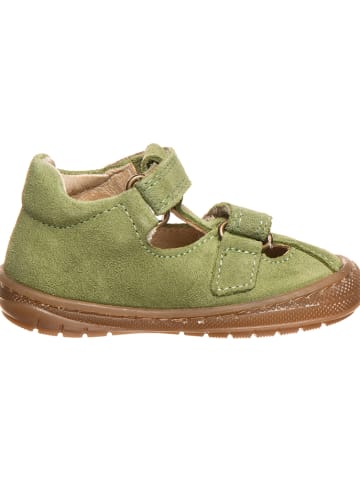 Primigi Leren enkelsandalen groen
