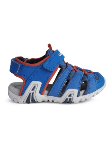Geox Enkelsandalen "Kraze" blauw