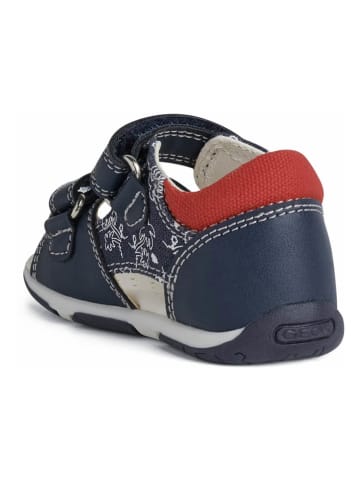 Geox Sandalen "Tapuz" donkerblauw/rood