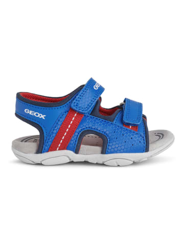 Geox Sandalen "Agasim" blauw