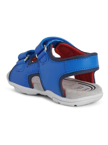 Geox Sandalen "Agasim" blauw