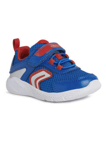 Geox Sneakers "Sprintye" blauw/rood