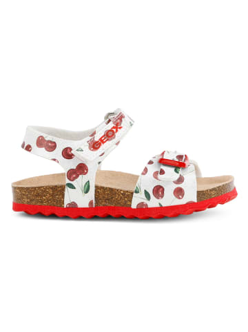 Geox Sandalen "Chalki" in Weiß/ Rot