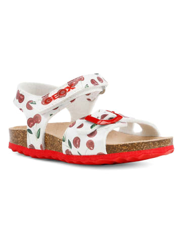 Geox Sandalen "Chalki" in Weiß/ Rot