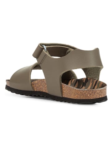 Geox Sandalen "Ghita" in Khaki