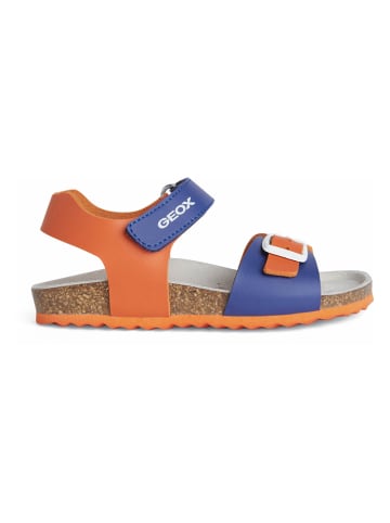 Geox Sandalen "Ghita" oranje/blauw