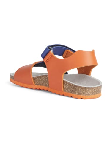 Geox Sandalen "Ghita" in Orange/ Blau