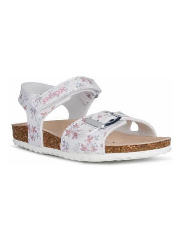 Geox Sandalen "Adriel" zilverkleurig
