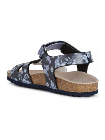 Geox Sandalen "Adriel" in Dunkelblau
