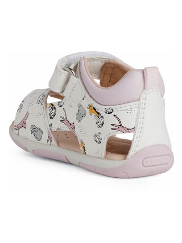 Geox Sandalen "Tapuz" in Weiß/ Rosa