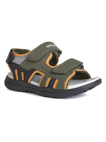 Geox Sandalen "Vaniett" in Khaki/ Orange