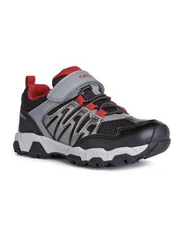 Geox Sneakers "Magnetar" in Schwarz/ Rot