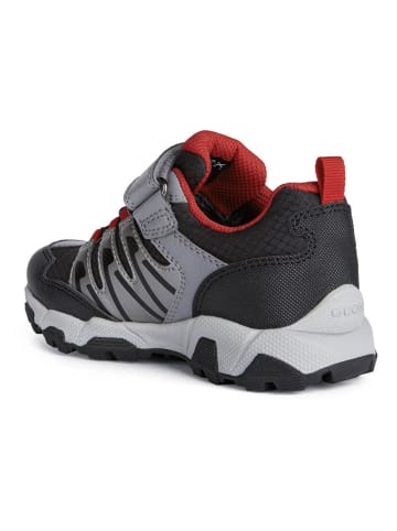 Geox Sneakers "Magnetar" in Schwarz/ Rot