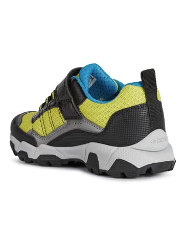 Geox Sneakers "Magnetar" in Schwarz/ Limette