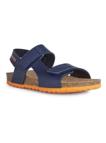 Geox Sandalen "Ghita" in Dunkelblau