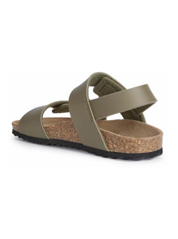 Geox Sandalen "Ghita" kaki