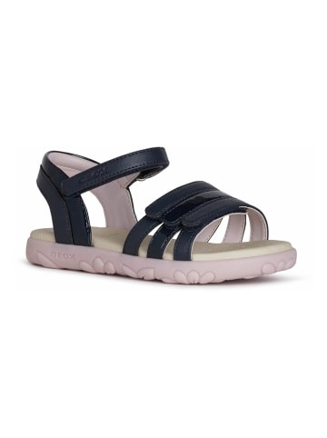 Geox Sandalen "Haiti" donkerblauw