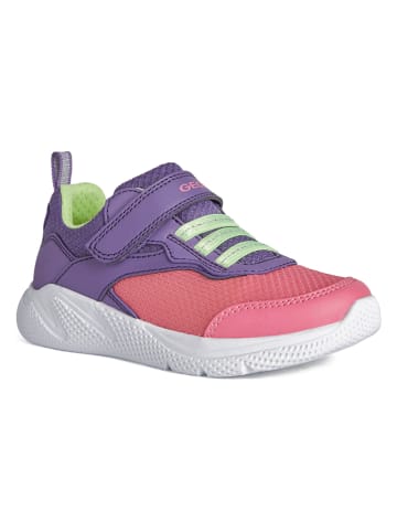 Geox Sneakers "Sprintye" roze/paars