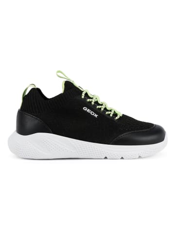Geox Sneakersy "Sprintye" w kolorze czarnym