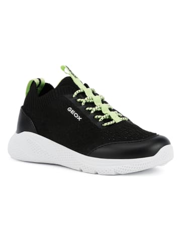 Geox Sneakers "Sprintye" zwart