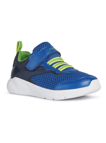 Geox Sneakers "Sprintye" in Dunkelblau/ Blau