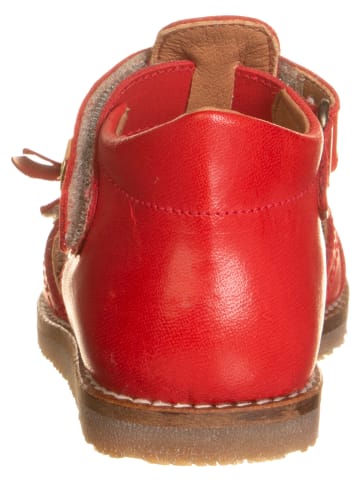 El Naturalista Leren sandalen "Atenas" rood