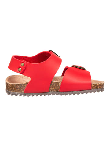 El Naturalista Sandalen "Incógnito" in Rot
