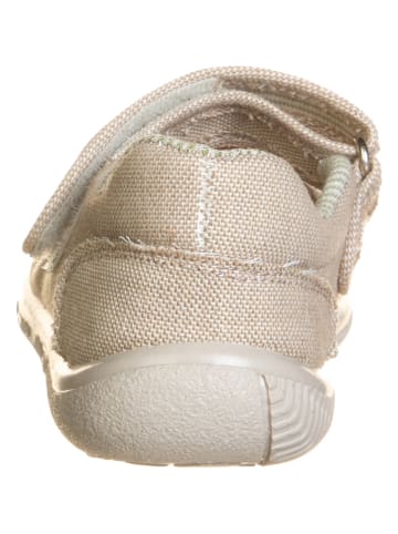 El Naturalista Baleriny "Siringa" w kolorze beżowym z paskiem