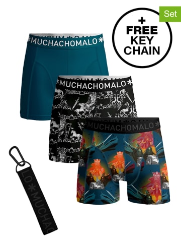 Muchachomalo 3-delige set: boxershorts turquoise/meerkleurig