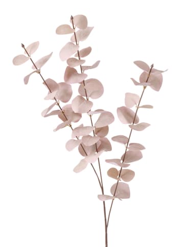 Boltze Dekozweig "Eukalyptus" in Beige - (H)88 cm