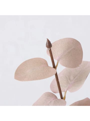 Boltze Gałązka dekoracyjna "Eukalyptus" w kolorze beżowym - wys. 88 cm