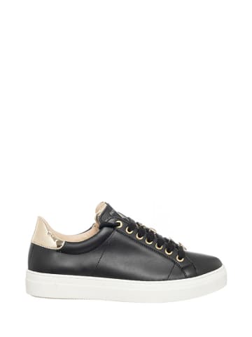 Patrizia Pepe Leder-Sneakers in Schwarz/ Gold