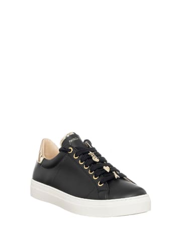 Patrizia Pepe Leder-Sneakers in Schwarz/ Gold