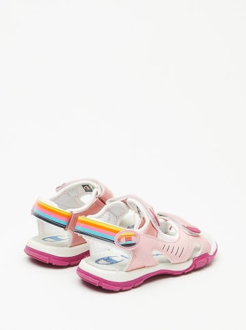 Champion Sandalen in Rosa