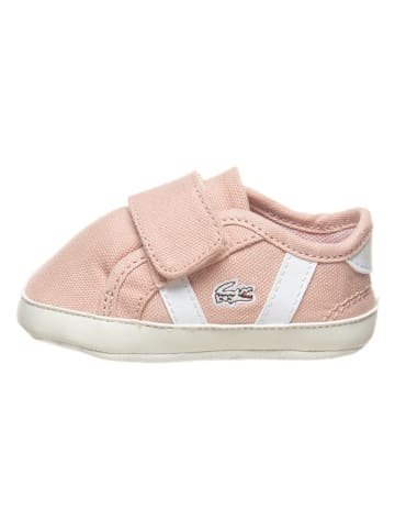 Lacoste Buty "Sideline Crib 120" w kolorze jasnoróżowym do raczkowania
